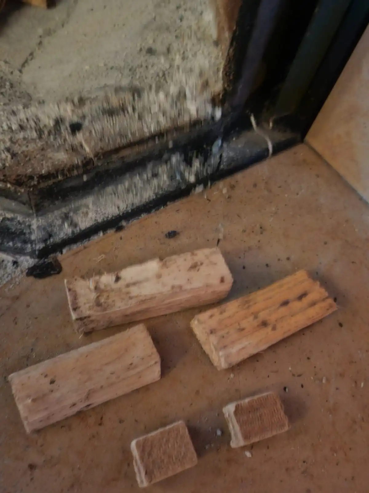 ETAPE 1 : Petit bois + 2 allumes feu
